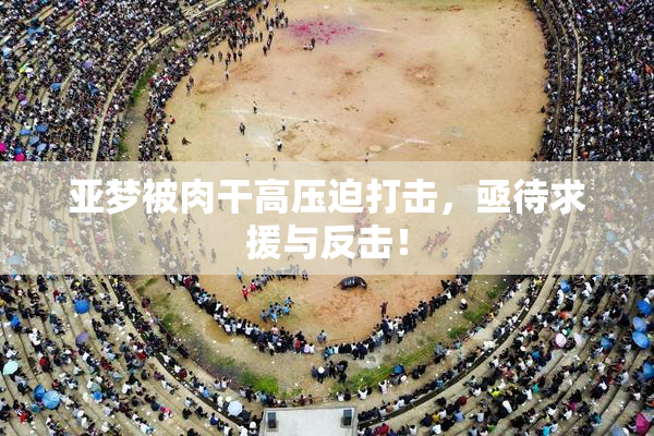 亚梦被肉干高压迫打击，亟待求援与反击！