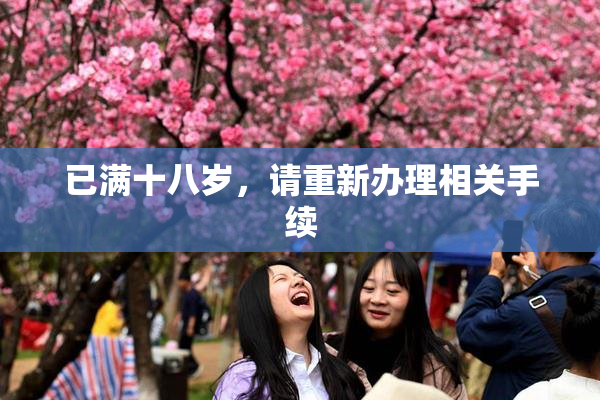 已满十八岁，请重新办理相关手续