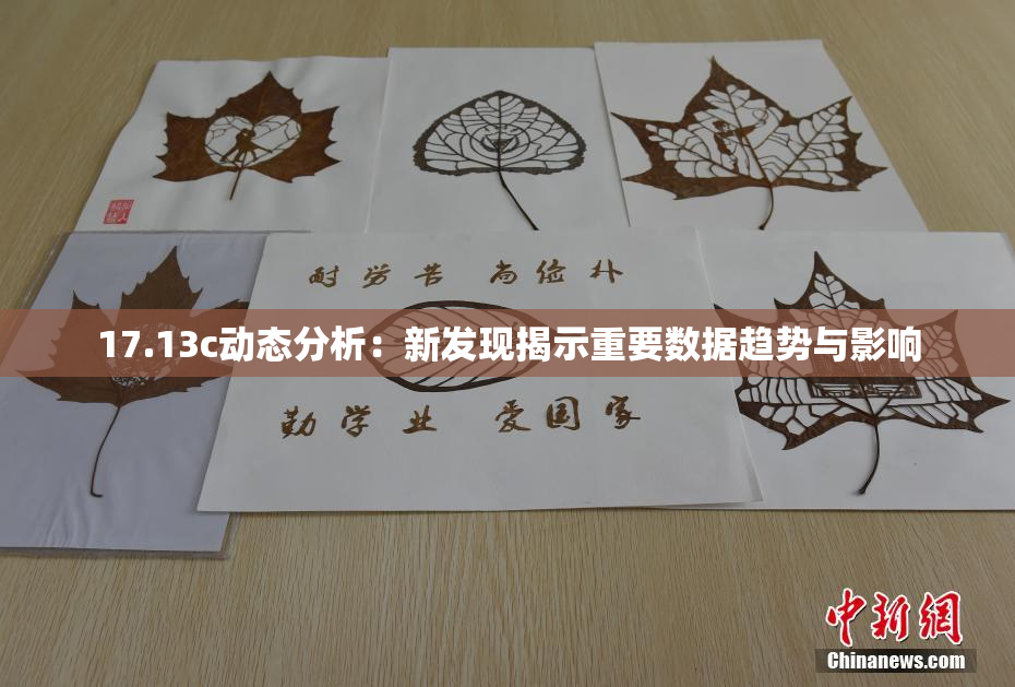 17.13c动态分析：新发现揭示重要数据趋势与影响