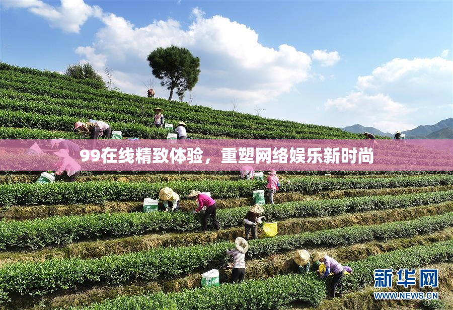 99在线精致体验，重塑网络娱乐新时尚