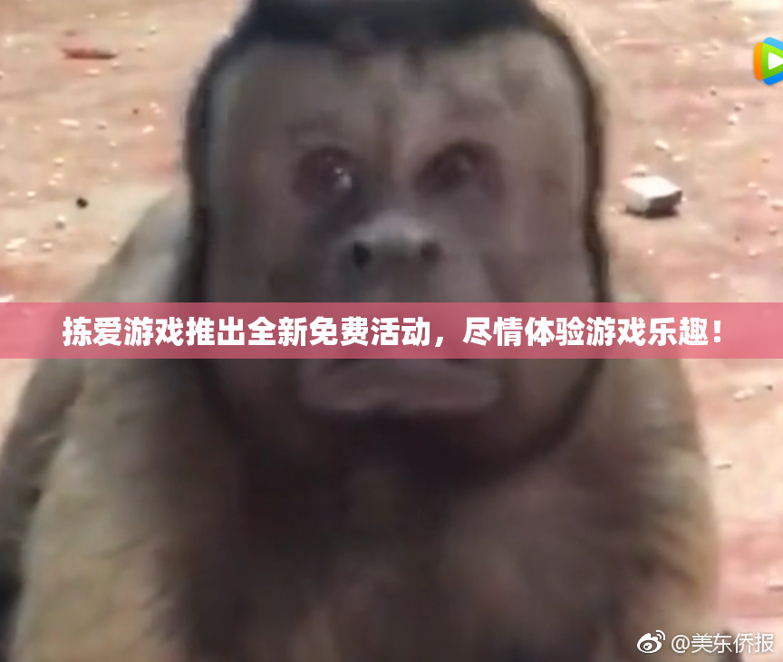 拣爱游戏推出全新免费活动，尽情体验游戏乐趣！