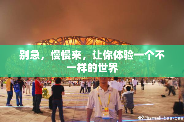 别急，慢慢来，让你体验一个不一样的世界