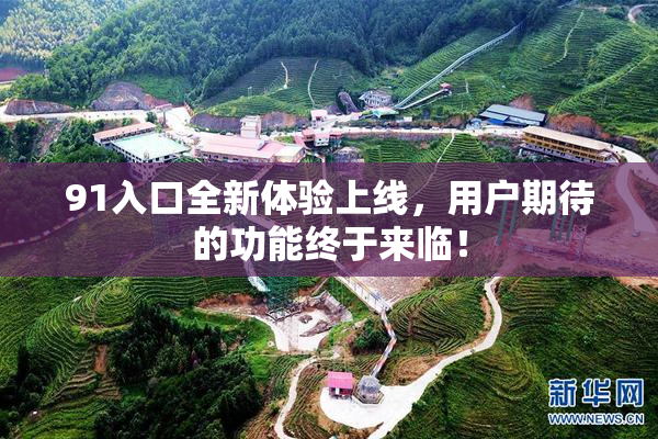 91入口全新体验上线，用户期待的功能终于来临！