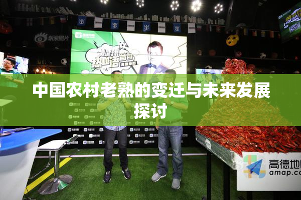中国农村老熟的变迁与未来发展探讨