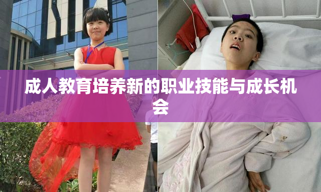 成人教育培养新的职业技能与成长机会