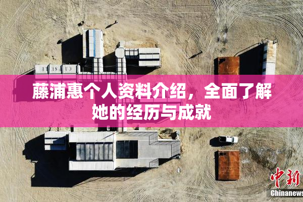 藤浦惠个人资料介绍，全面了解她的经历与成就