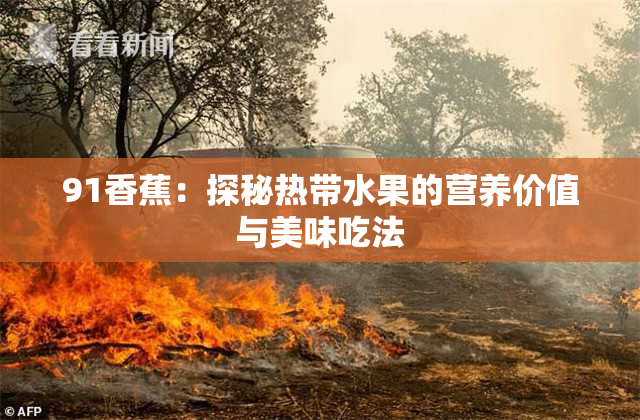 91香蕉：探秘热带水果的营养价值与美味吃法