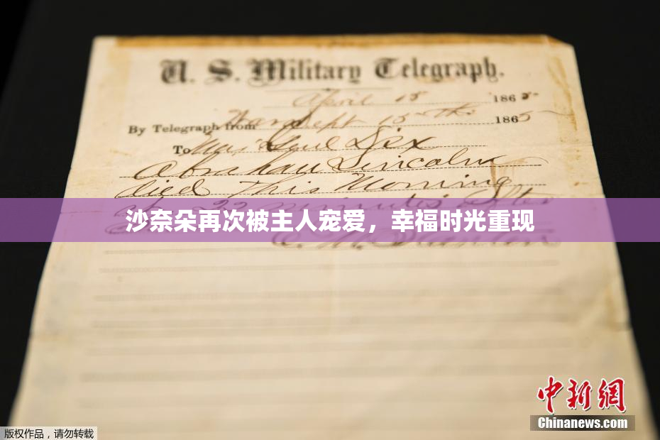沙奈朵再次被主人宠爱，幸福时光重现