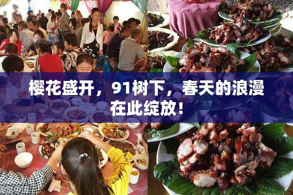 樱花盛开，91树下，春天的浪漫在此绽放！