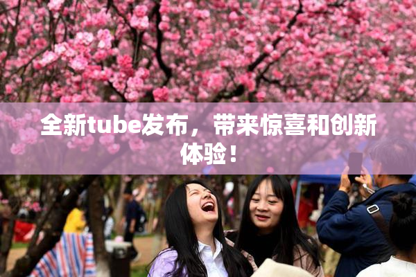 全新tube发布，带来惊喜和创新体验！