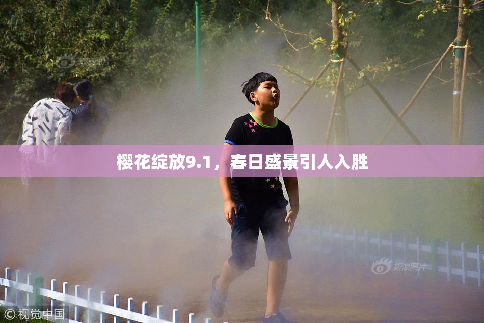 樱花绽放9.1，春日盛景引人入胜