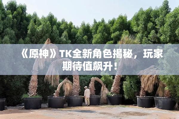 《原神》TK全新角色揭秘，玩家期待值飙升！