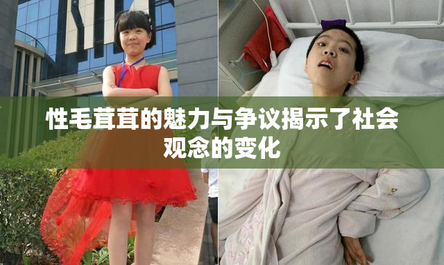 性毛茸茸的魅力与争议揭示了社会观念的变化