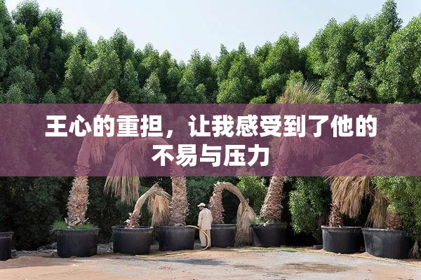 王心的重担，让我感受到了他的不易与压力