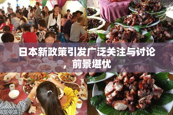 日本新政策引发广泛关注与讨论，前景堪忧