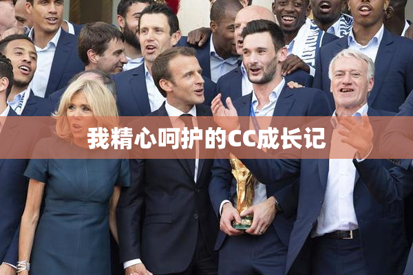 我精心呵护的CC成长记