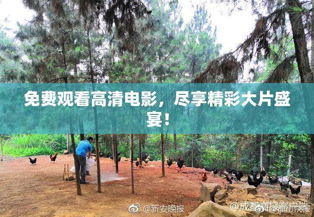 免费观看高清电影，尽享精彩大片盛宴！