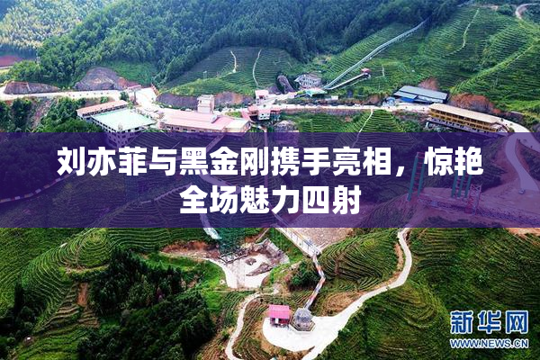 刘亦菲与黑金刚携手亮相，惊艳全场魅力四射