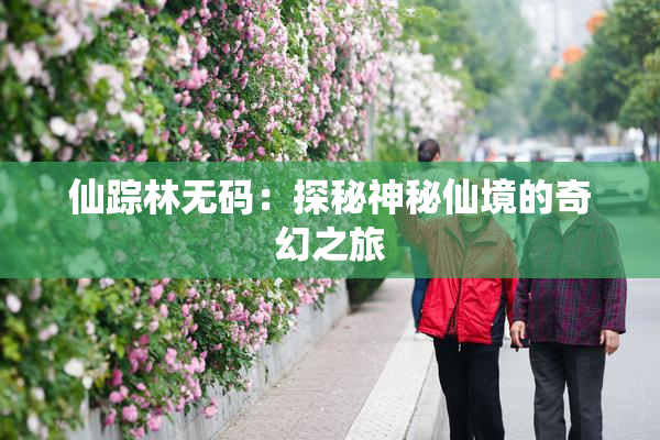 仙踪林无码：探秘神秘仙境的奇幻之旅