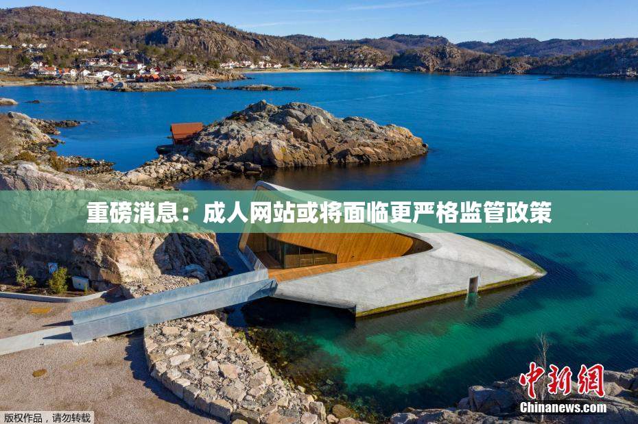 重磅消息：成人网站或将面临更严格监管政策