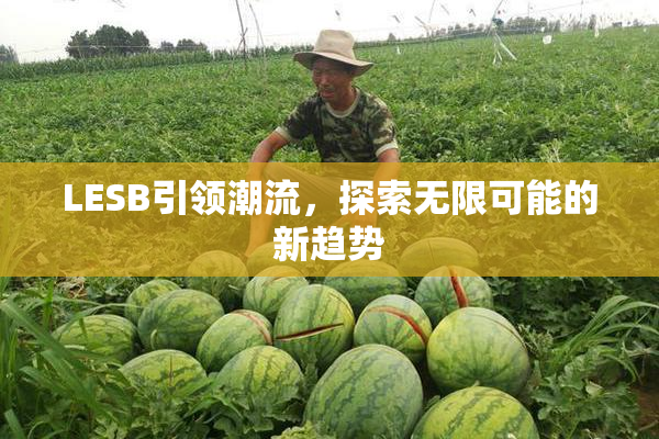 LESB引领潮流，探索无限可能的新趋势