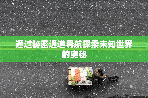 通过秘密通道导航探索未知世界的奥秘