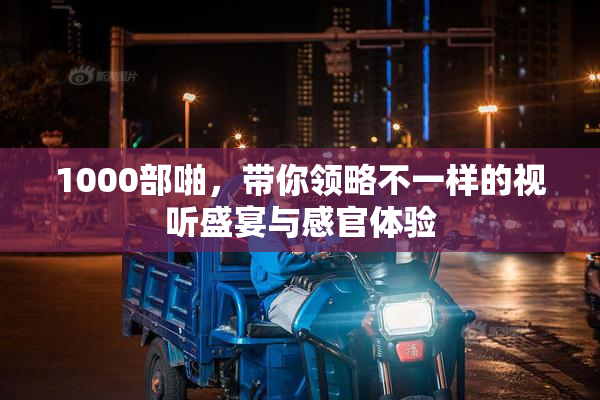 1000部啪，带你领略不一样的视听盛宴与感官体验
