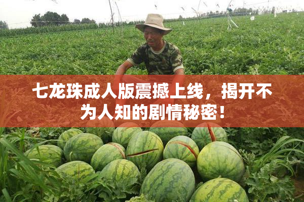 七龙珠成人版震撼上线，揭开不为人知的剧情秘密！
