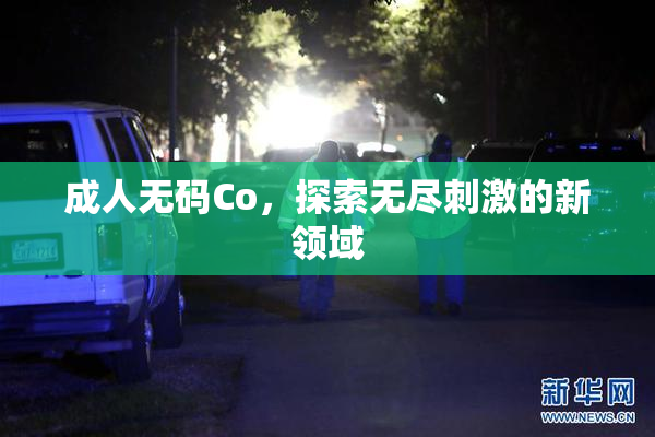 成人无码Co，探索无尽刺激的新领域
