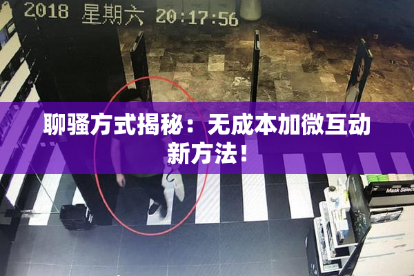 聊骚方式揭秘：无成本加微互动新方法！