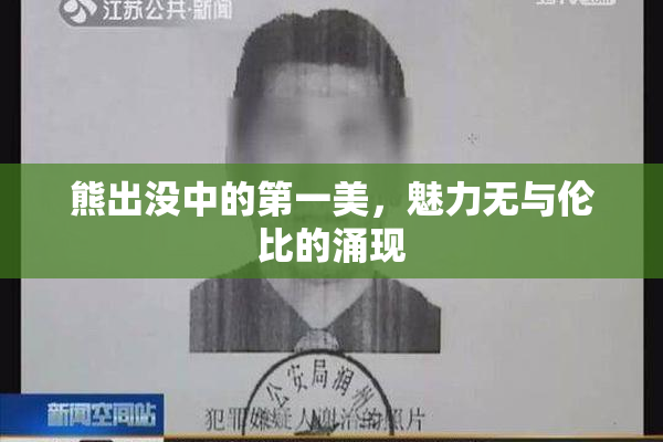 熊出没中的第一美，魅力无与伦比的涌现