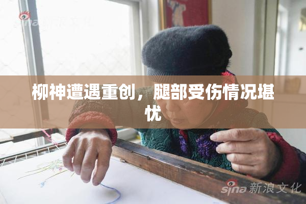 柳神遭遇重创，腿部受伤情况堪忧