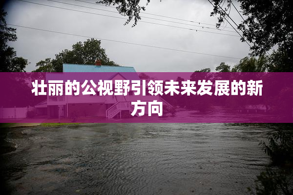 壮丽的公视野引领未来发展的新方向