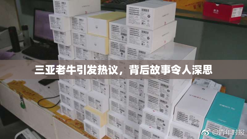 三亚老牛引发热议，背后故事令人深思