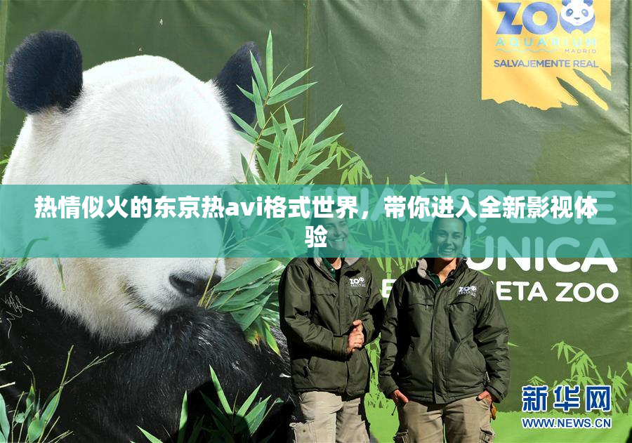 热情似火的东京热avi格式世界，带你进入全新影视体验