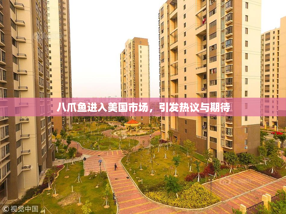 八爪鱼进入美国市场，引发热议与期待