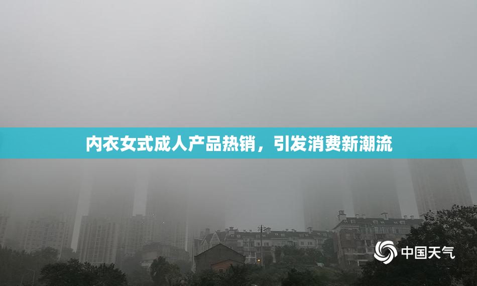 内衣女式成人产品热销，引发消费新潮流