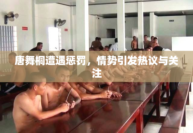 唐舞桐遭遇惩罚，情势引发热议与关注