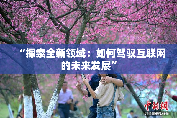 “探索全新领域：如何驾驭互联网的未来发展”