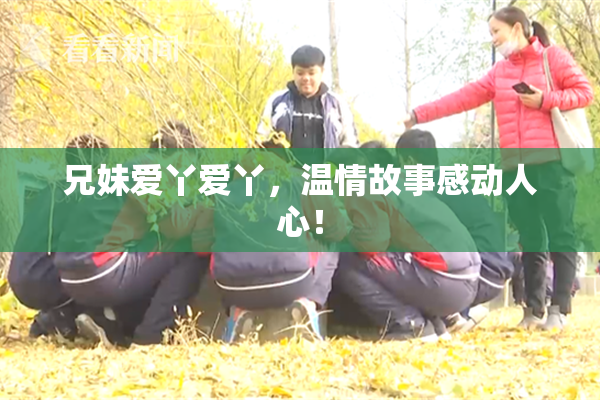 兄妹爱丫爱丫，温情故事感动人心！