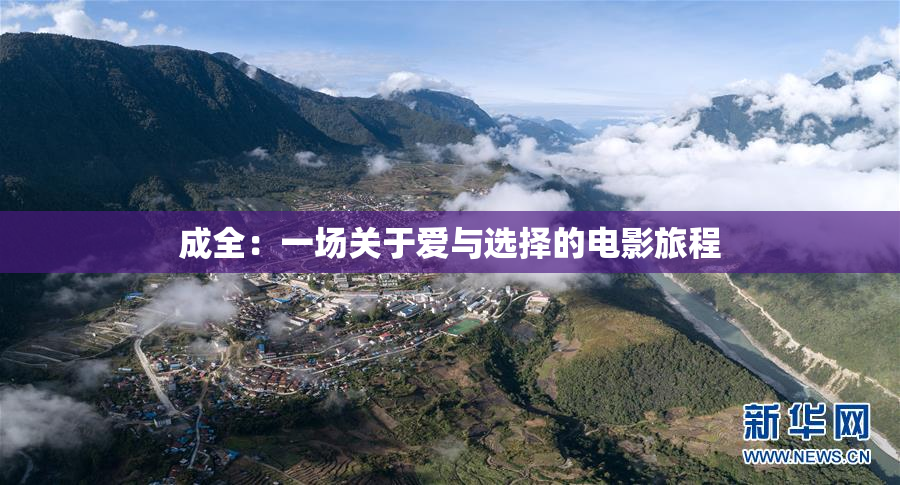 成全：一场关于爱与选择的电影旅程