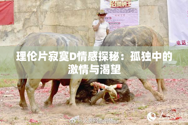 理伦片寂寞D情感探秘：孤独中的激情与渴望