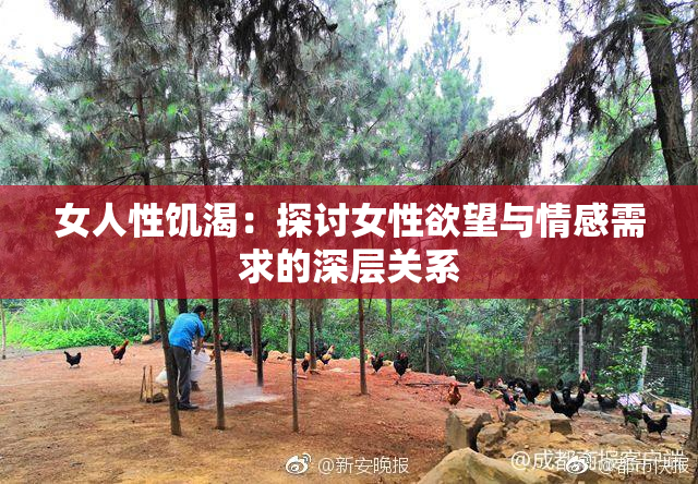 女人性饥渴：探讨女性欲望与情感需求的深层关系