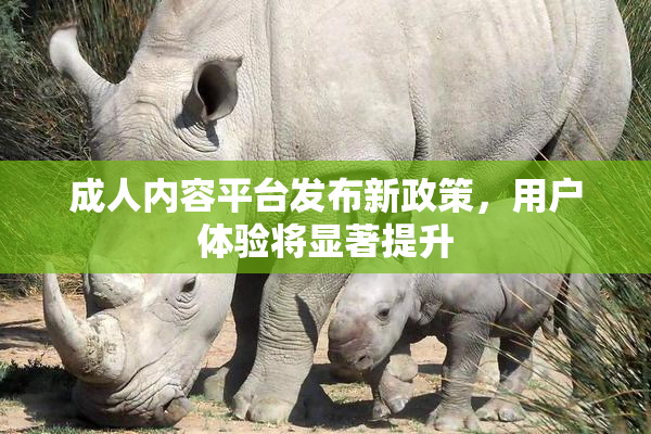 成人内容平台发布新政策，用户体验将显著提升