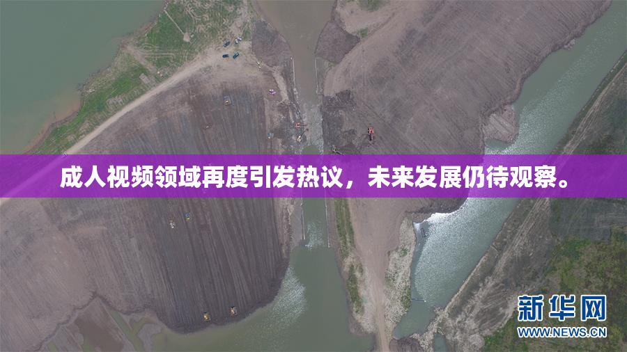成人视频领域再度引发热议，未来发展仍待观察。