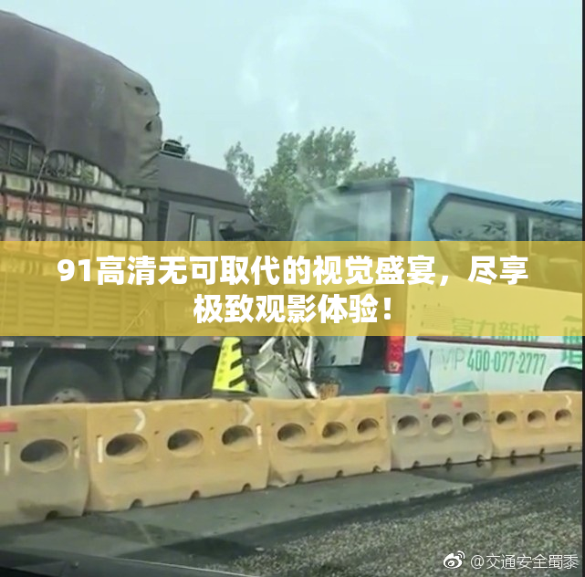 91高清无可取代的视觉盛宴，尽享极致观影体验！