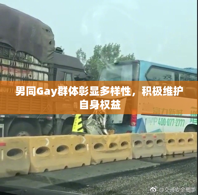 男同Gay群体彰显多样性，积极维护自身权益