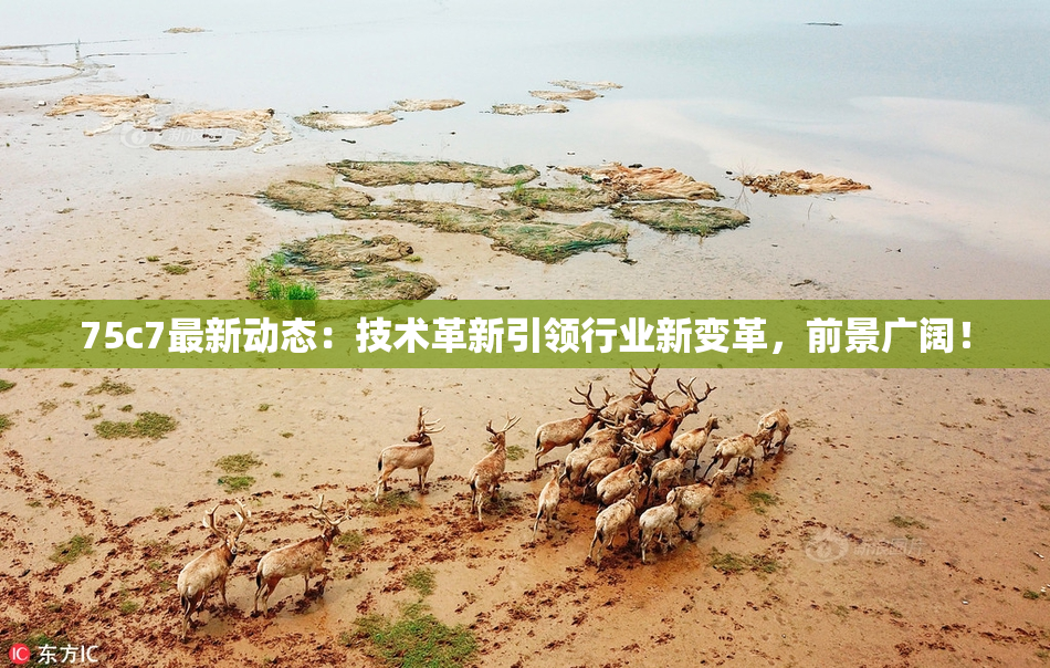75c7最新动态：技术革新引领行业新变革，前景广阔！