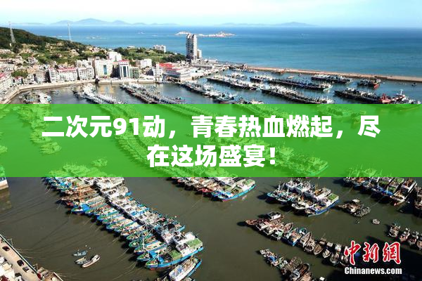 二次元91动，青春热血燃起，尽在这场盛宴！