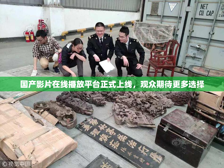 国产影片在线播放平台正式上线，观众期待更多选择